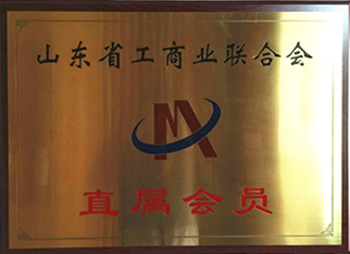 公司注冊(cè)名稱